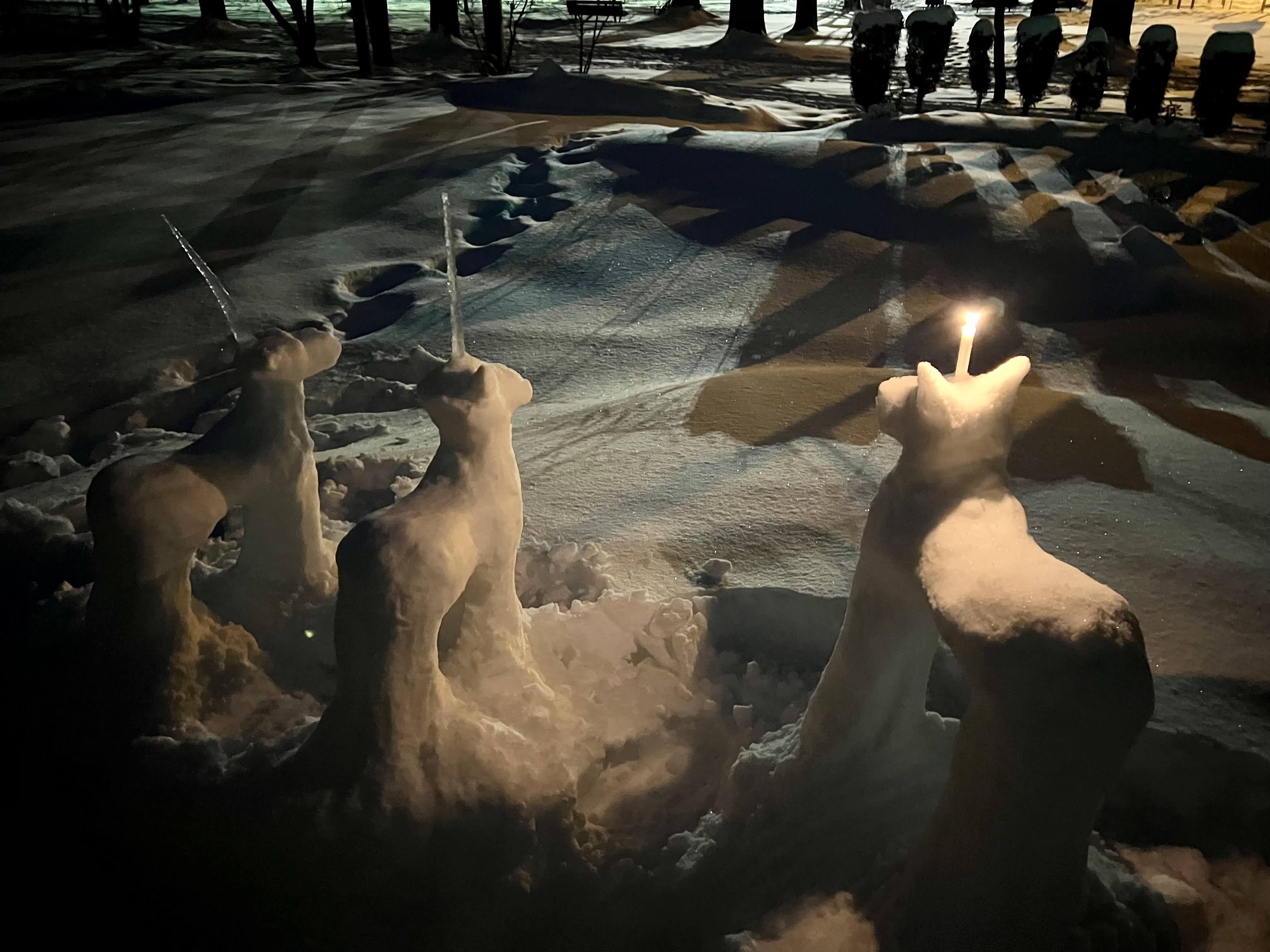 Snow horses